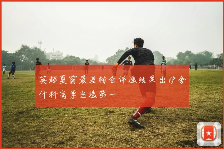英超夏窗最差转会评选结果出炉舍什科高票当选第一
