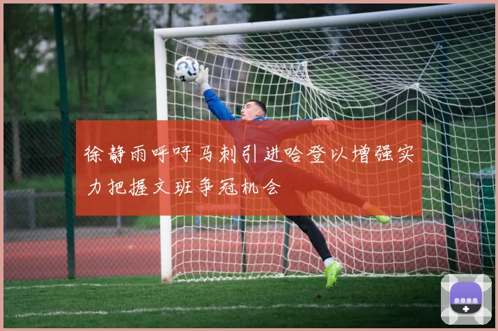 徐静雨呼吁马刺引进哈登以增强实力把握文班争冠机会