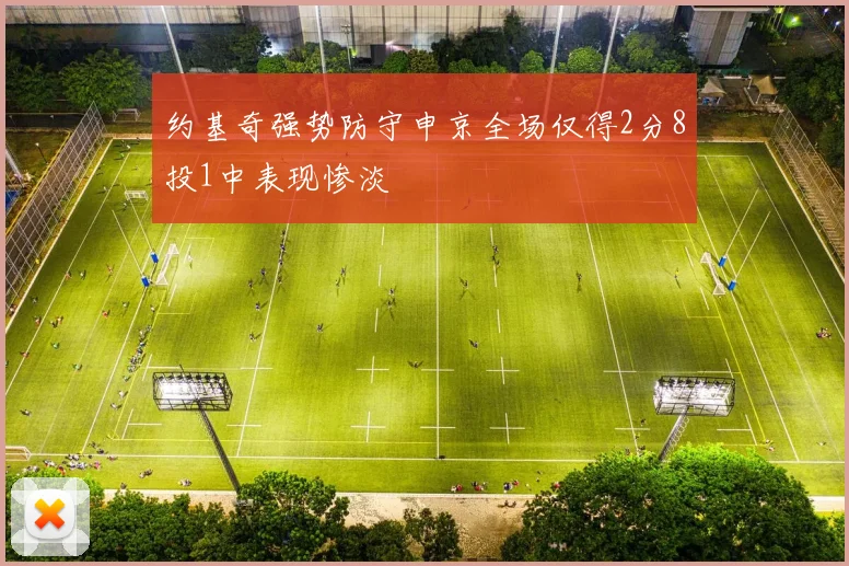 约基奇强势防守申京全场仅得2分8投1中表现惨淡