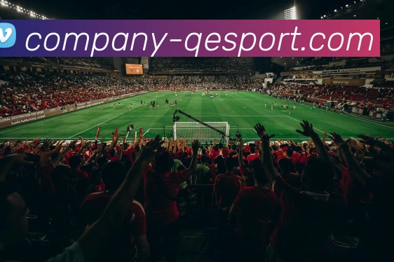 企鹅体育发展历程