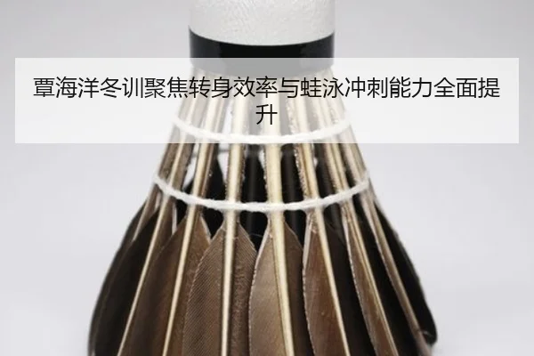 覃海洋冬训聚焦转身效率与蛙泳冲刺能力全面提升